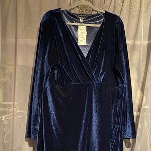 Esprlia velvet blue dress